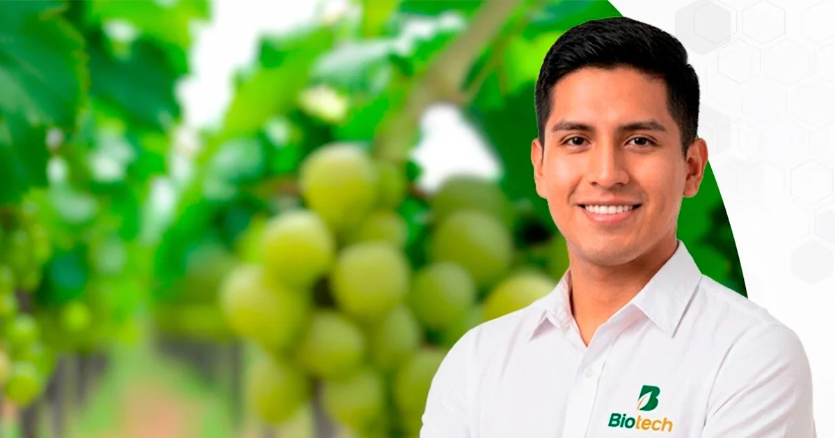 Representante Técnico Comercial (RTC)  Agroindustria - Trujillo